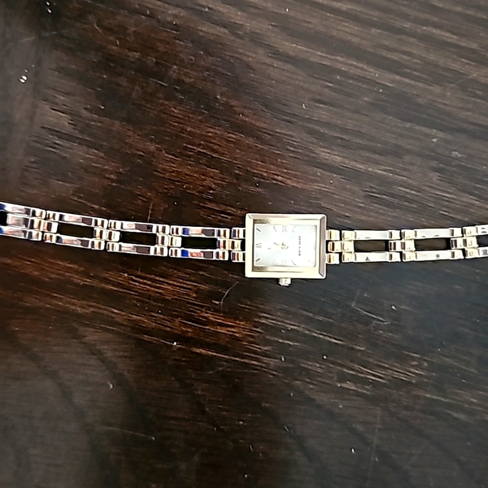 Ann klien watch